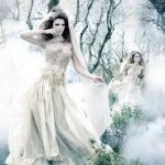 10390540_1490891277790859_8510583709160593924_n