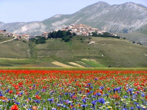 Castelluccio di Norcia
