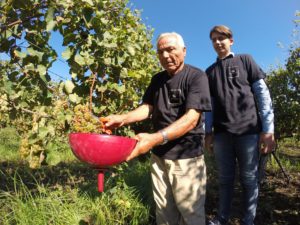 Tenuta Fontana - Doc Italy